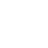 Ace Cars